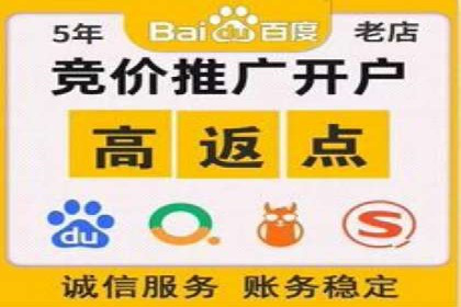 案例剖析：百度竞价排名助力企业突破困境